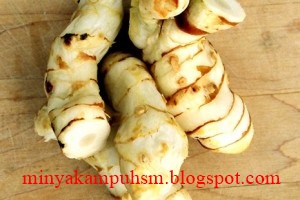 ini nih sabun hawa lengkuas untuk hilangkan panu dan jamur ini nih sabun hawa lengkuas untuk hilangkan panu dan jamur
