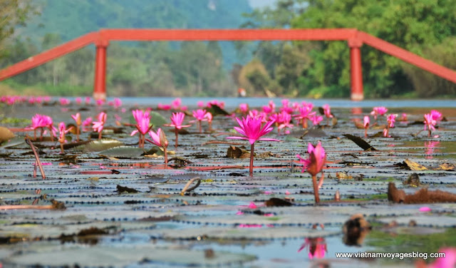 Voyage au Suoi Yen, Pagode Huong Voyage au Suoi Yen, Pagode Huong