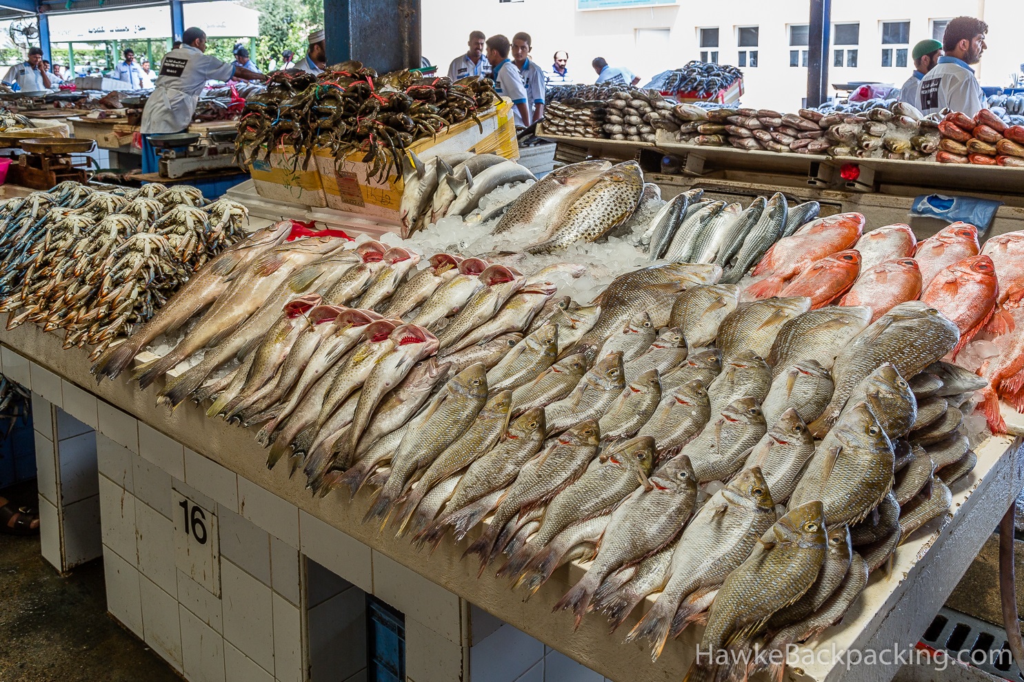 Купить рыбу отзывы. Рыбопромышленный кластер Севастополь. Рыбный рынок в Темрюке 2023. Рыба на рынке. Рыба на прилавке.