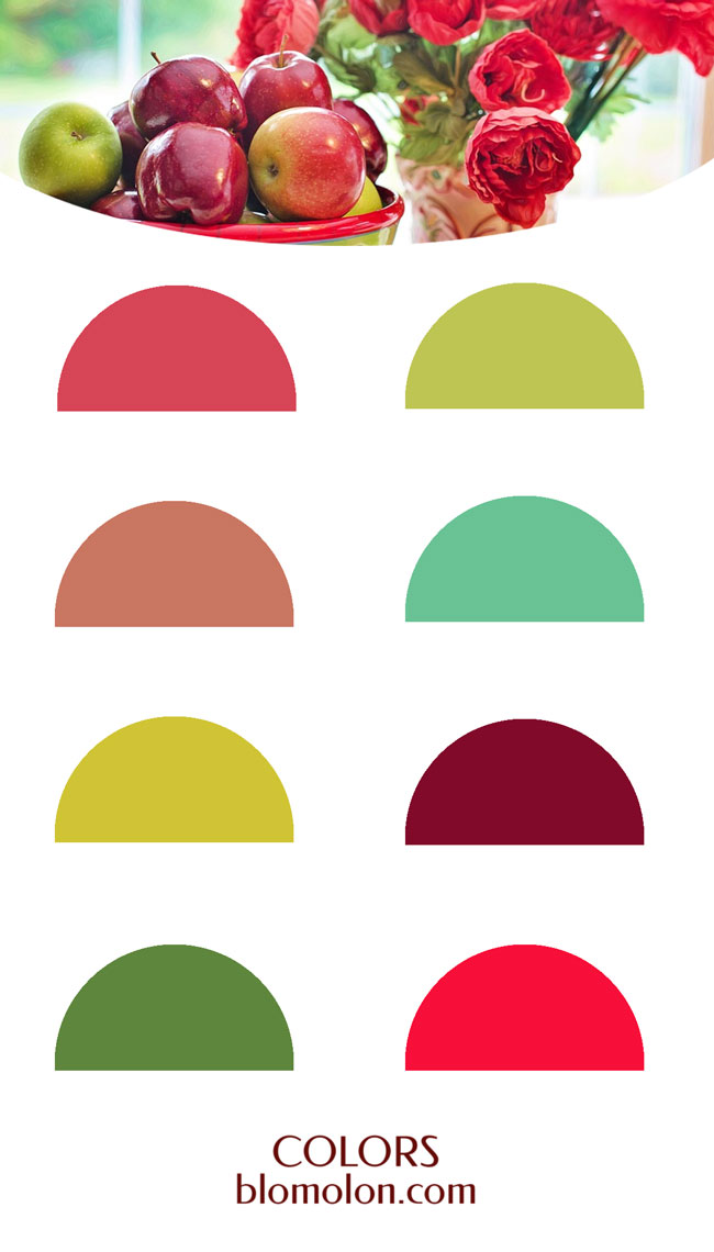 plantillas base paletas de colores 8 plantillas_base__paletas_de_colores8