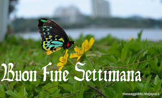 felice weekend buon fine settimana immagini