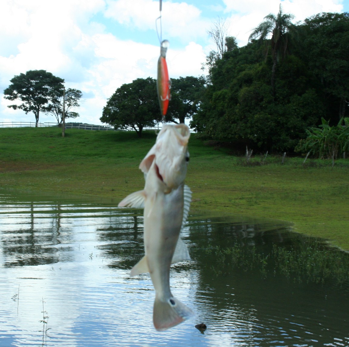 Programa 'Bem Passado' Hoje tem pesca profissional e esportiva no Bem
