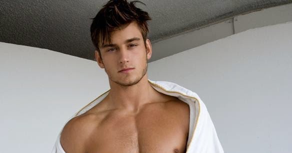 Bryant Wood model пресс