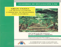 Gran enana - Un nuevo cultivar comercial de platanera para Canarias | Gobierno de Canarias gran-enana-un-nuevo-cultivar-de-platanera-para-canarias