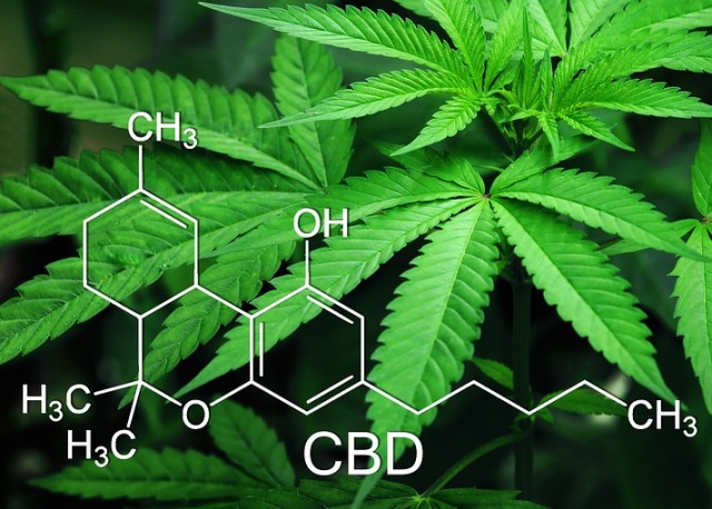 CBD oil THC marijuana hemp vaping cannabinol smoking weed e-cigarettes