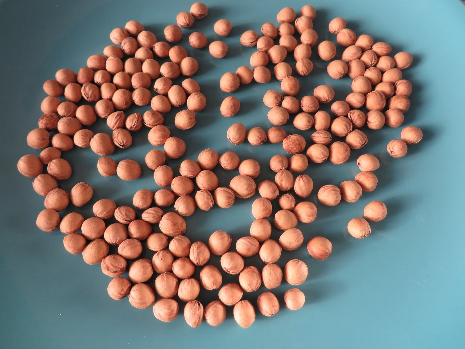 Несмирные ручки - блог Кати Несмирной: Как я заготавливаю вишневые косточки