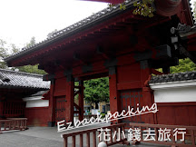 到東京大學看銀杏