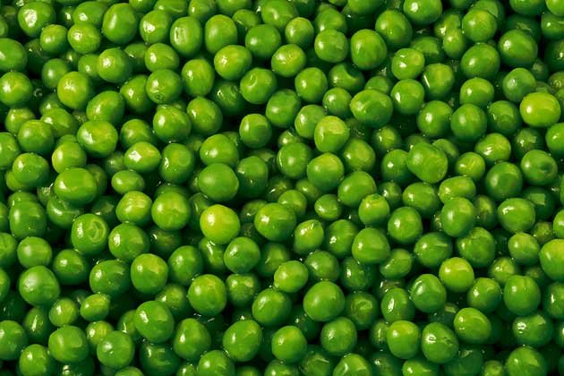 fun-duniya-top-10-winter-foods-in-india