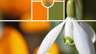 Variedad En Color MoodBoard 27