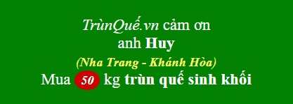 Trùn quế về Nha Trang, Khánh Hòa