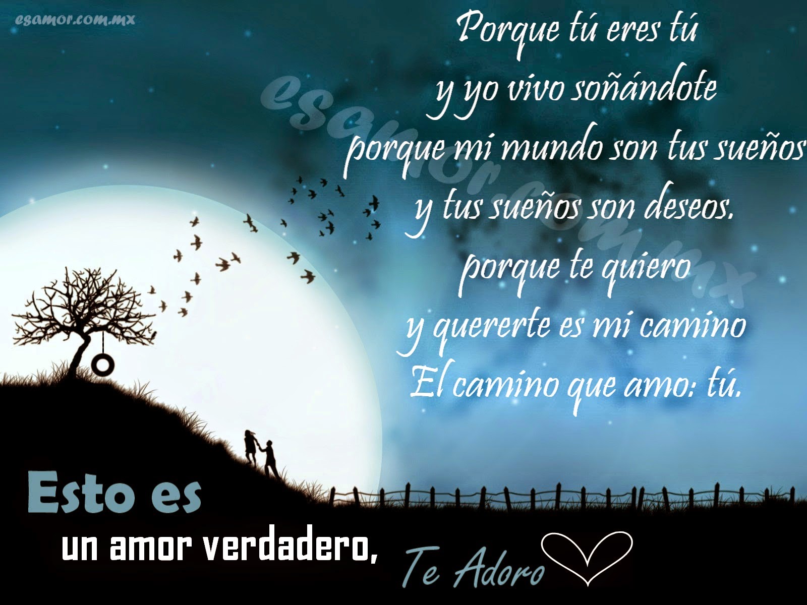 Imágenes, fotos con poemas para enamorar a tu pareja Imágenes, fotos con poemas para enamorar a tu pareja