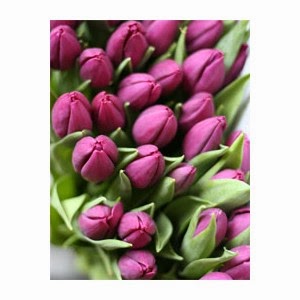 http://www.floristvancouver.com/shop/tulips/