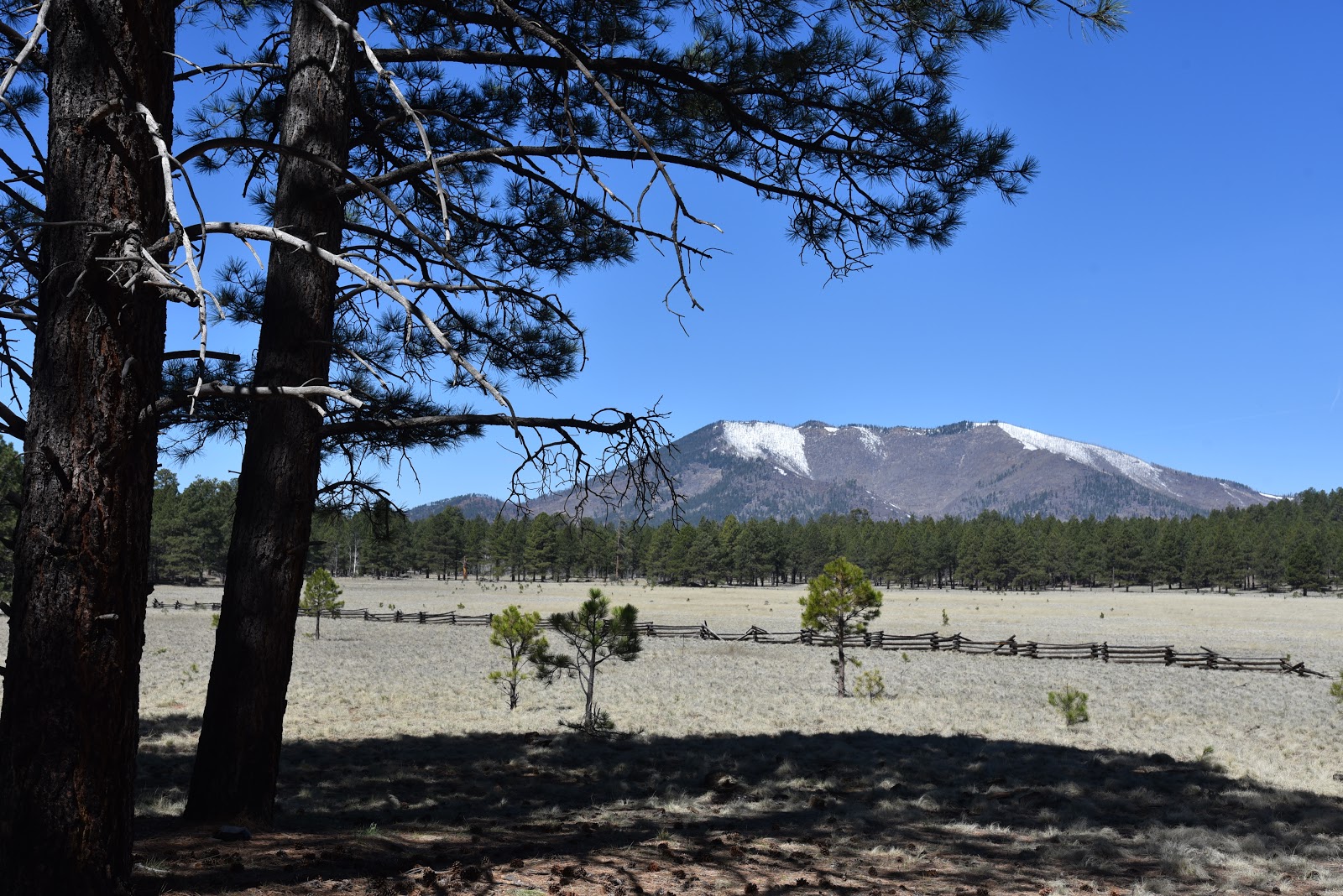 Arizona Hiking Kendrick Park Watchable Wildlife Trail
