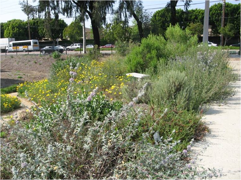 Water Wise Gardening Tip, La County Drought Resistant Landscape Brochure
