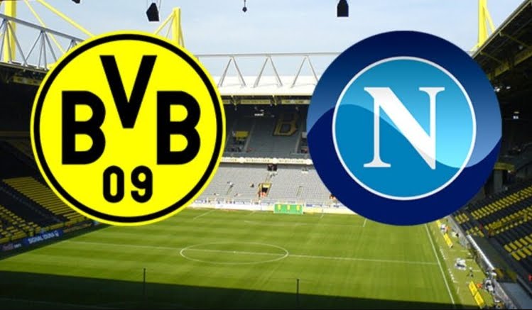 Diretta BORUSSIA NAPOLI Streaming Rojadirecta, dove vedere l'amichevole d'estate in TV e in internet Oggi 7 agosto 2018.