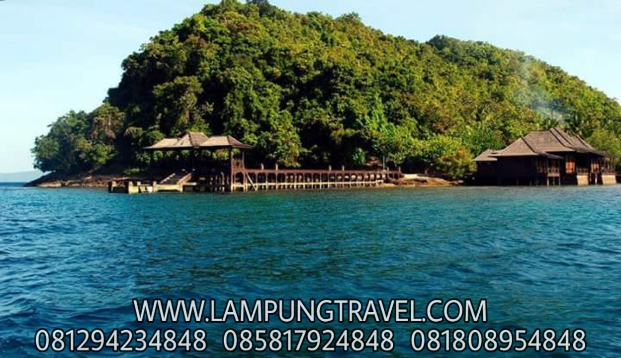 Travel Bandar Lampung Ke Cilandak Jakarta Selatan ~ Lampung Travel