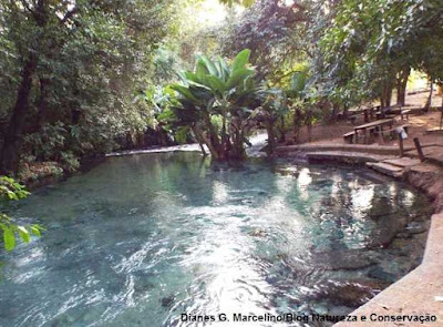 O Rio Azuis é um dos mais bonitos do Tocantins. O rio está localizado no município de Aurora do Tocantins, sudeste do Estado. Foto: Dianes Gomes Marcelino fotos do Rio Azuis, rio azuis, tocantins, rio azuis no tocantins, qual o menor rio do brasil e do mundo, menor rio do mundo, menor rio do brasil, brasil, tocantins azuis, azuis, conhecer o rio azuis, viajar, aurora do tocantins, turismo, turista, meio ambiente, natureza, blog natureza e conservação