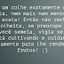 Cada um colhe o que planta
