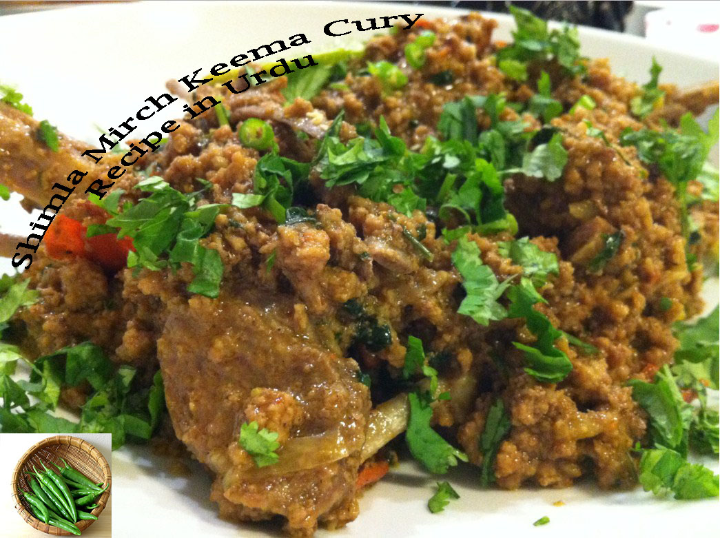 Shimla Mirch Keema Cury Recipe Green Chilli