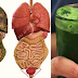 This Amazing Green Beverage Cleans Fat And Toxins Off Of you!