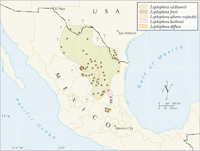 Distribution map for the genus Lophophora