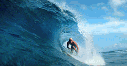 2.gif