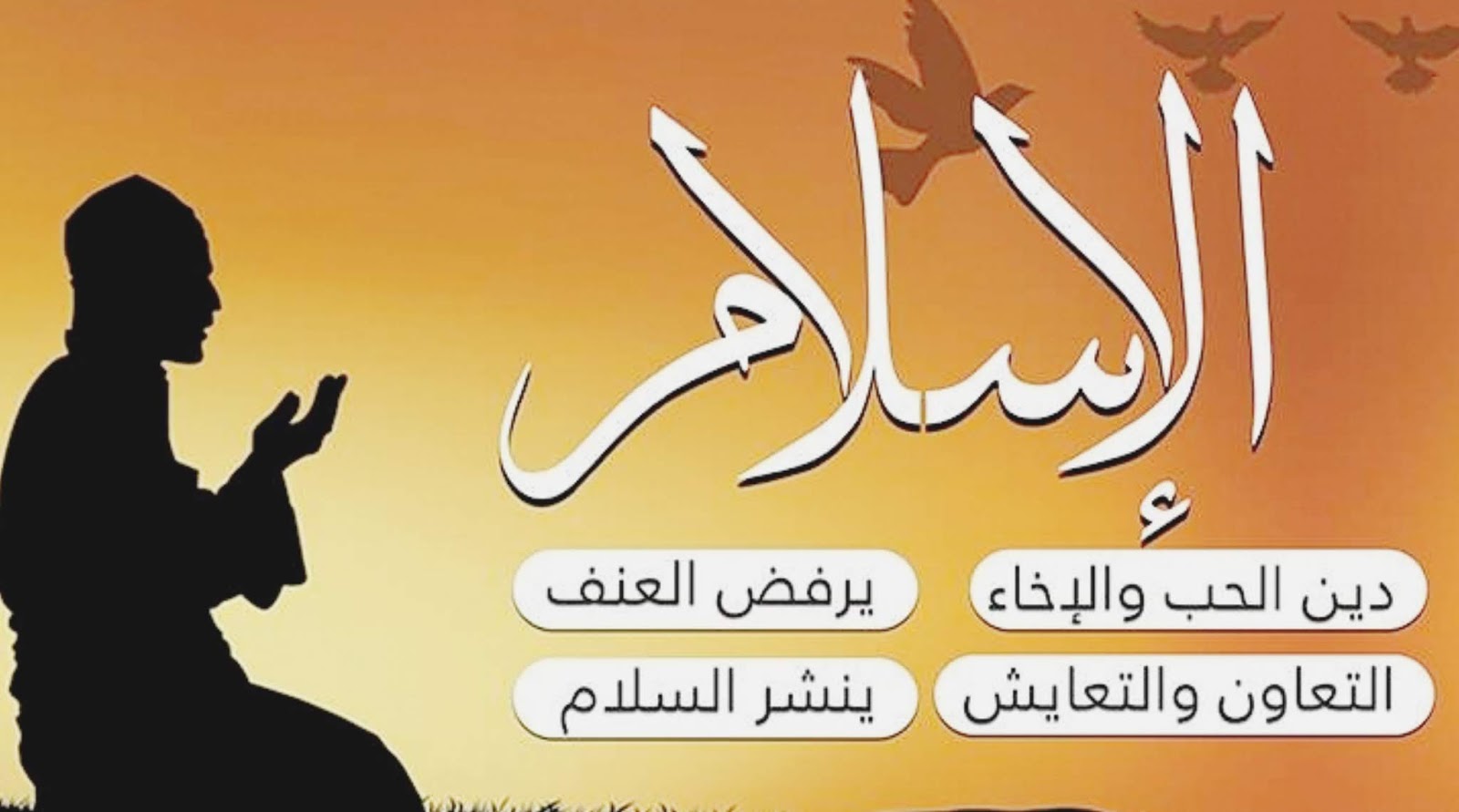 ماهو دين الاسلام تعريف بعض جوانب دين الاسلام