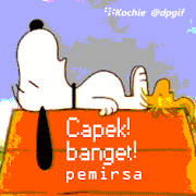 55+ Populer Gambar Dp Wa Lucu Gif, Gambar Wa