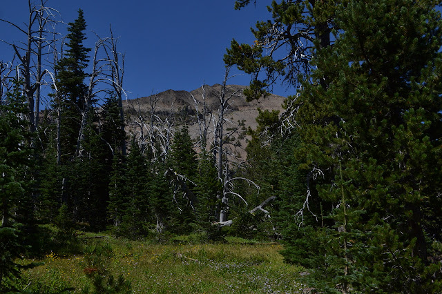 Strawberry Mountain