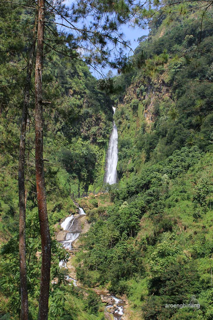 curug bajing petungkriyono pekalongan