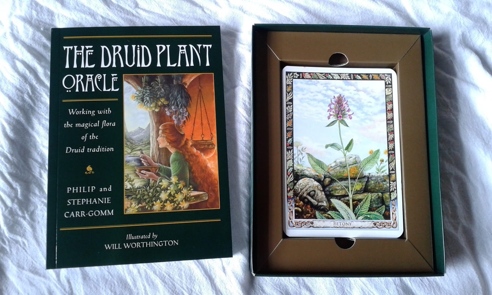 Druid oracle plant cards aeclectic tarot card