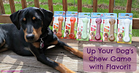 Up Your Dog's Chew Game with Flavorit chews from Pet Qwerks #dogchew #Flavorit #LapdogCreations ©LapdogCreations