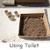 Using Toilet Paper Rolls For Seed Starter