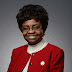 Buhari Appoints Senator Adeyeye’s Wife, Prof. Christianah Adeyeye As NAFDAC DG