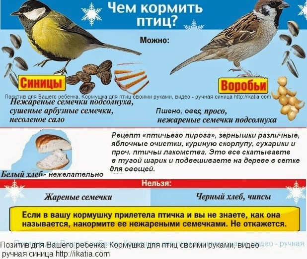 Какую крупу в кормушку для птиц. Корма для зимующих птиц. корм для птичек в кормушку. подкормка птиц зимой корма. можно кормить птиц.