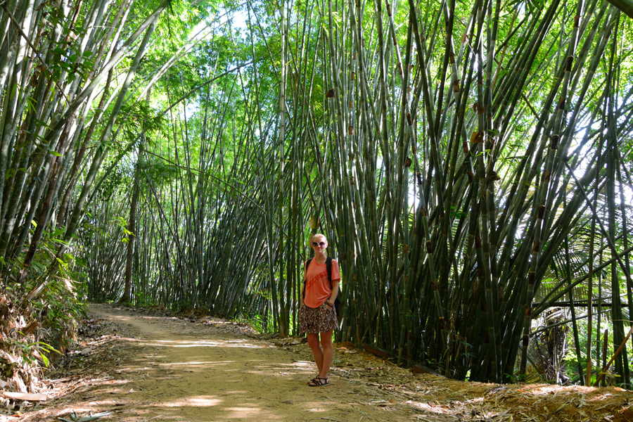 park khao sok tajlandia park khao sok tajlandia