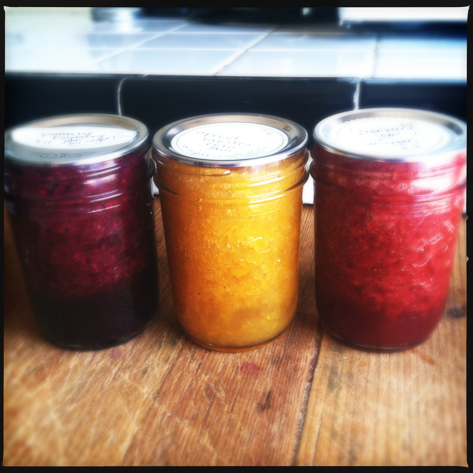 CanCan Canning without Sugar