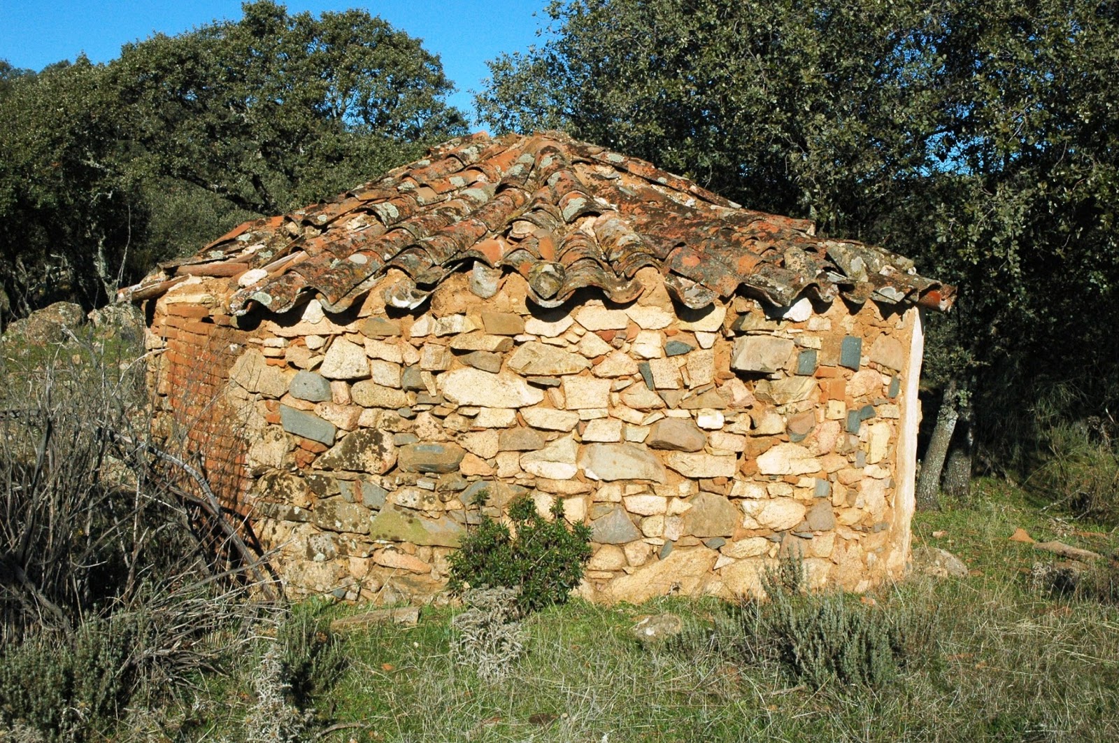 Chozas de Córdoba. Choza de la (Fuente Obejuna).