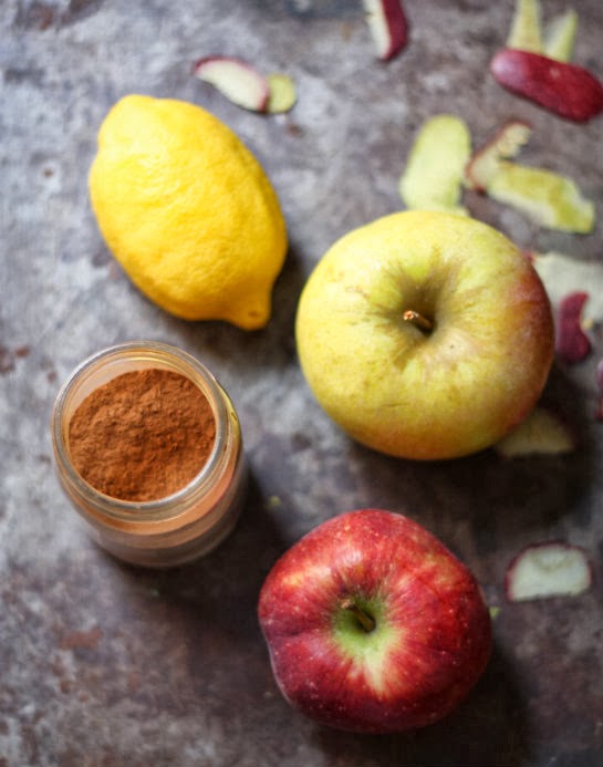 Origins Farm Natural Cinnamon Apple Fruit Leather 17 Apart