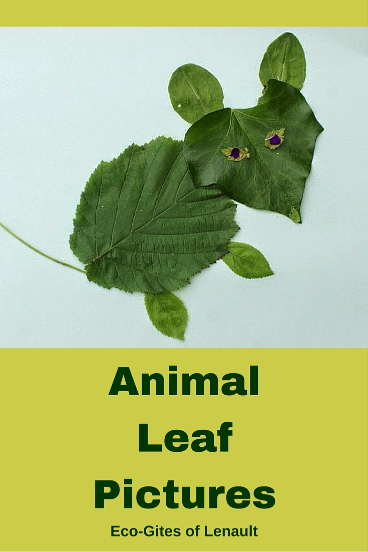 A Green and Rosie Life: Animal Leaf Pictures