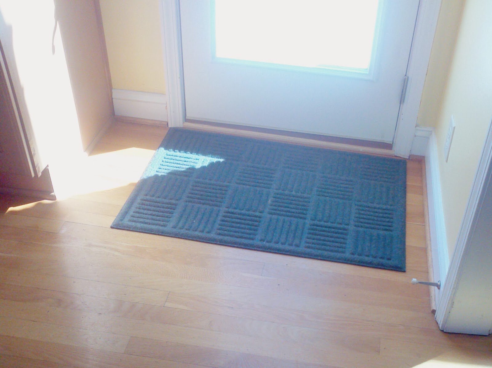 darlaville new rug for back door