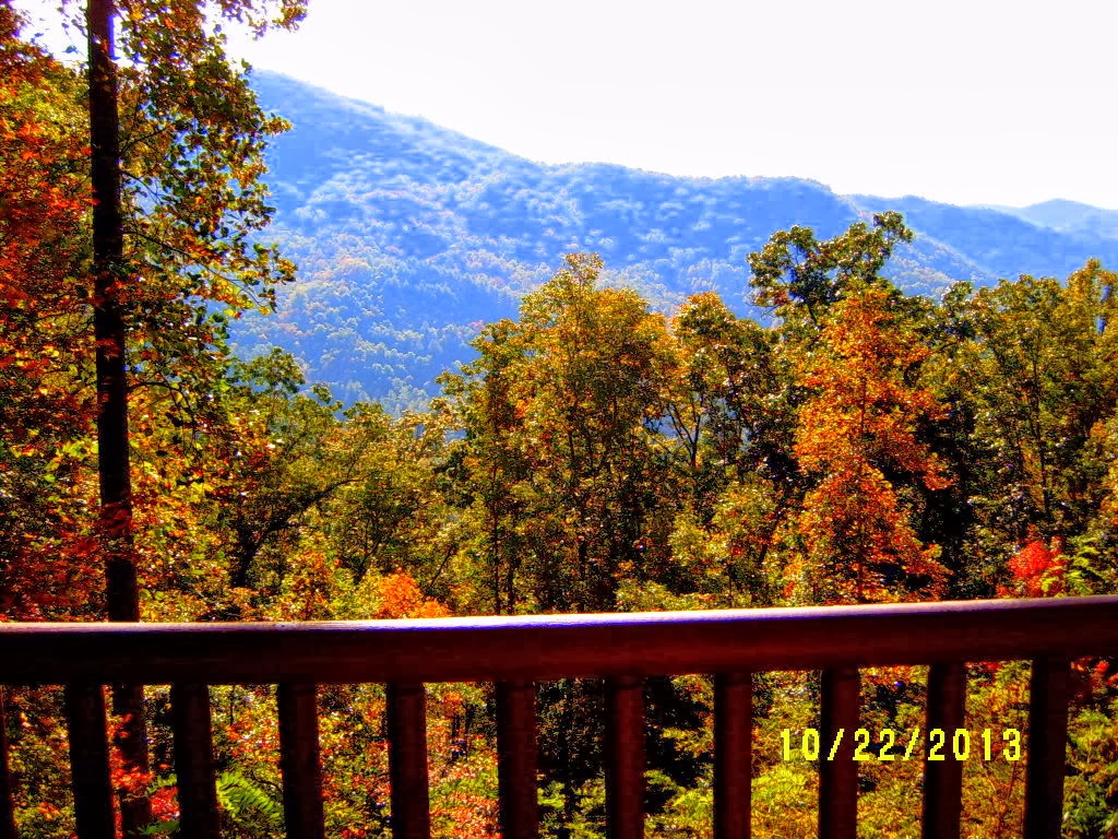 Alabama Rose and Flower Garden from a NonGreen Thumb I think Bryson