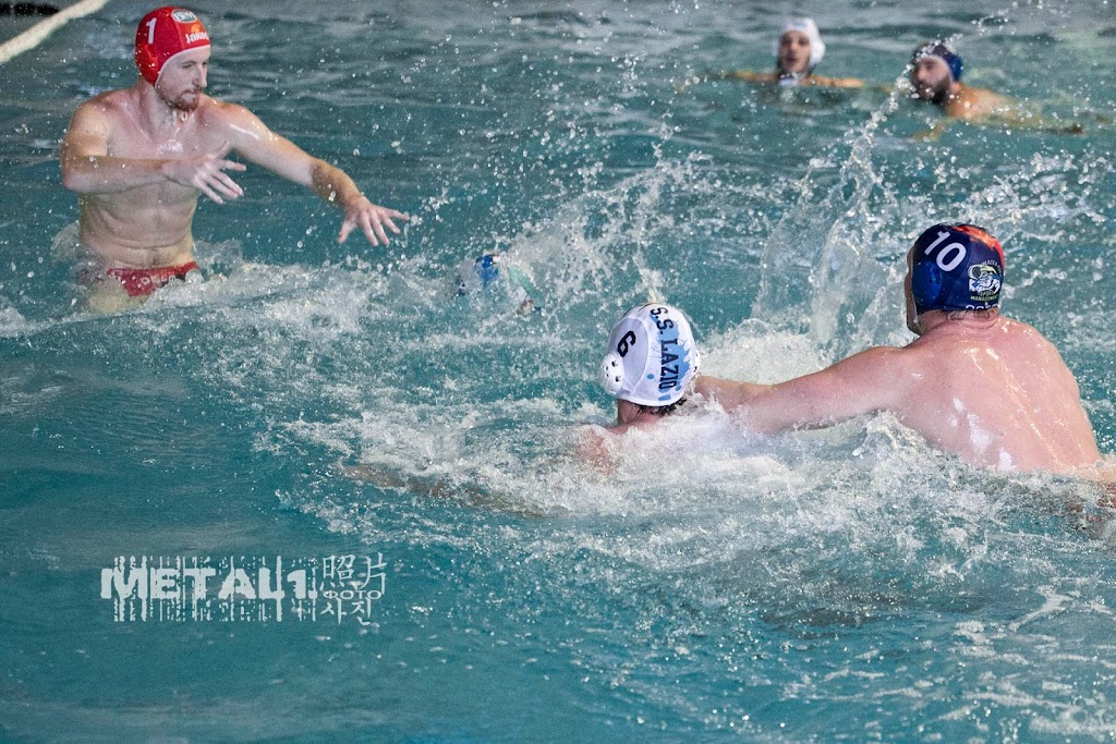 IMAGE: https://4.bp.blogspot.com/-JDDbSzuVg0Q/VuWEqosCxFI/AAAAAAAAEIg/DHYanF9u0C8BqQYB5nFxb81ch1YLBFXXA/s1024/WM4094045.JPG