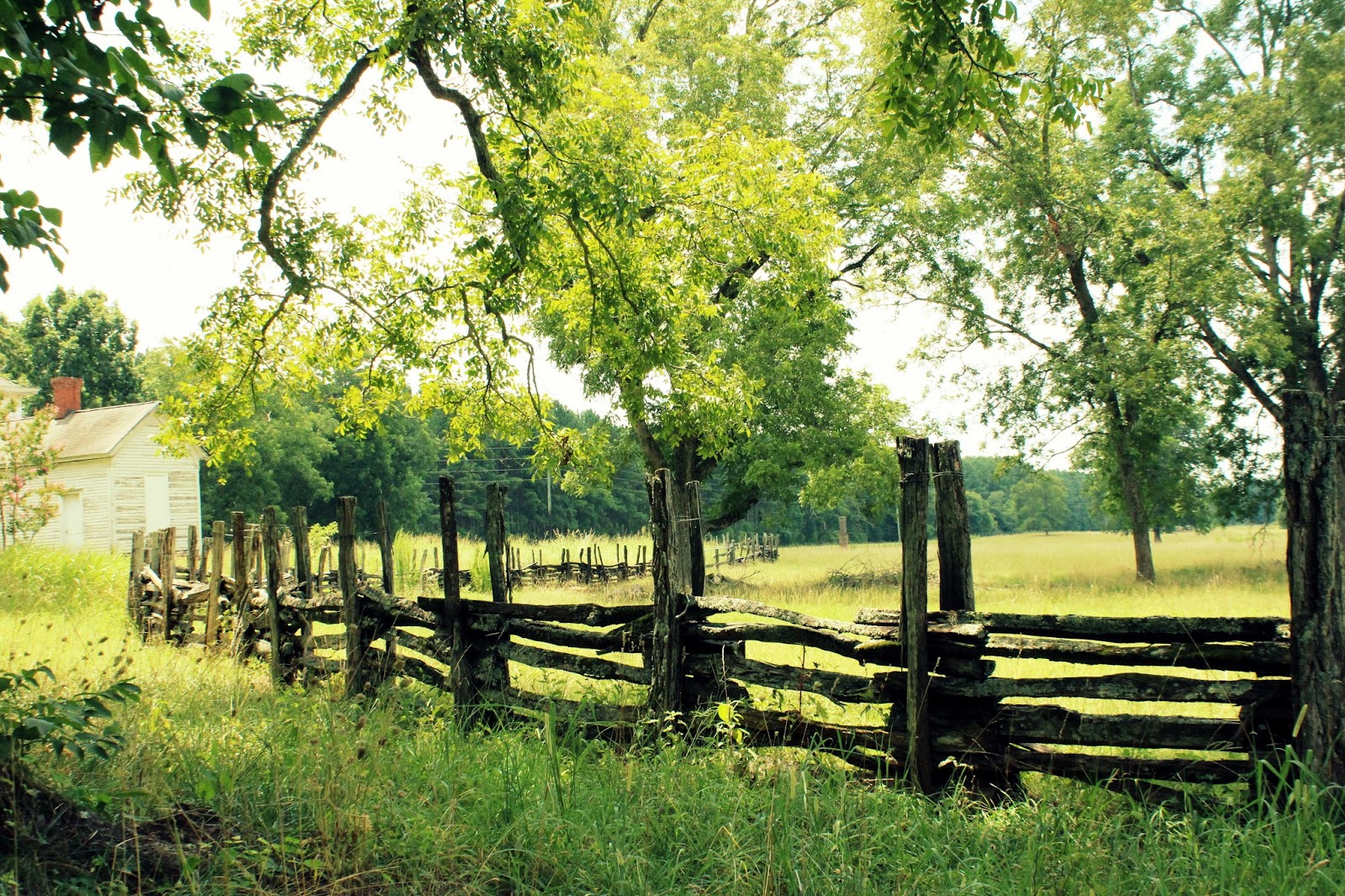 RURAL ROAD TRIP Suzanne MacCrone Rogers • Italian Girl in
