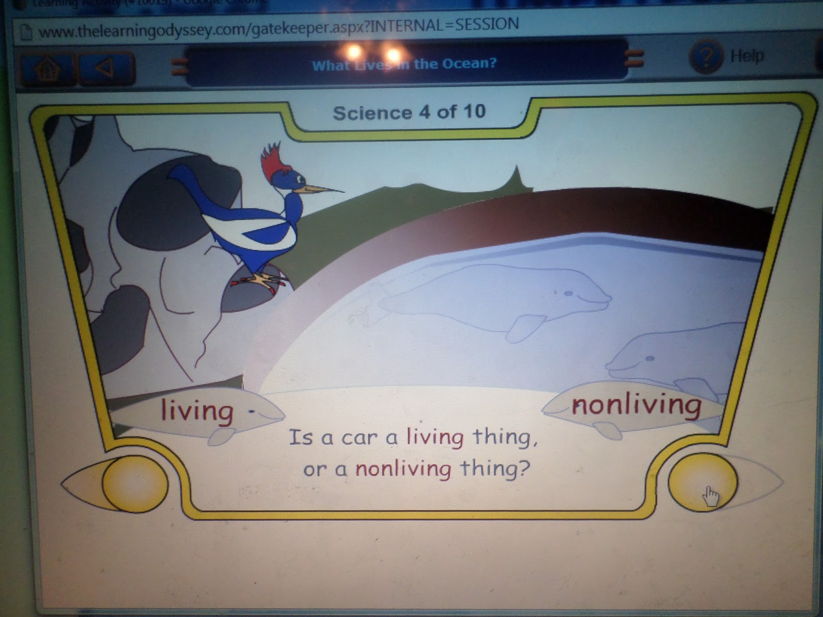 www thelearningodyssey com answers
