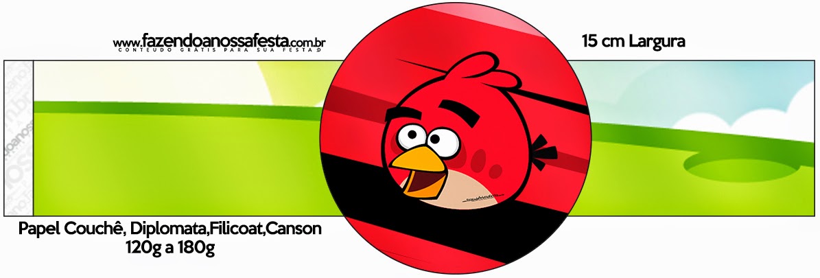 Angry birds: Imprimibles Gratis para Fiestas.