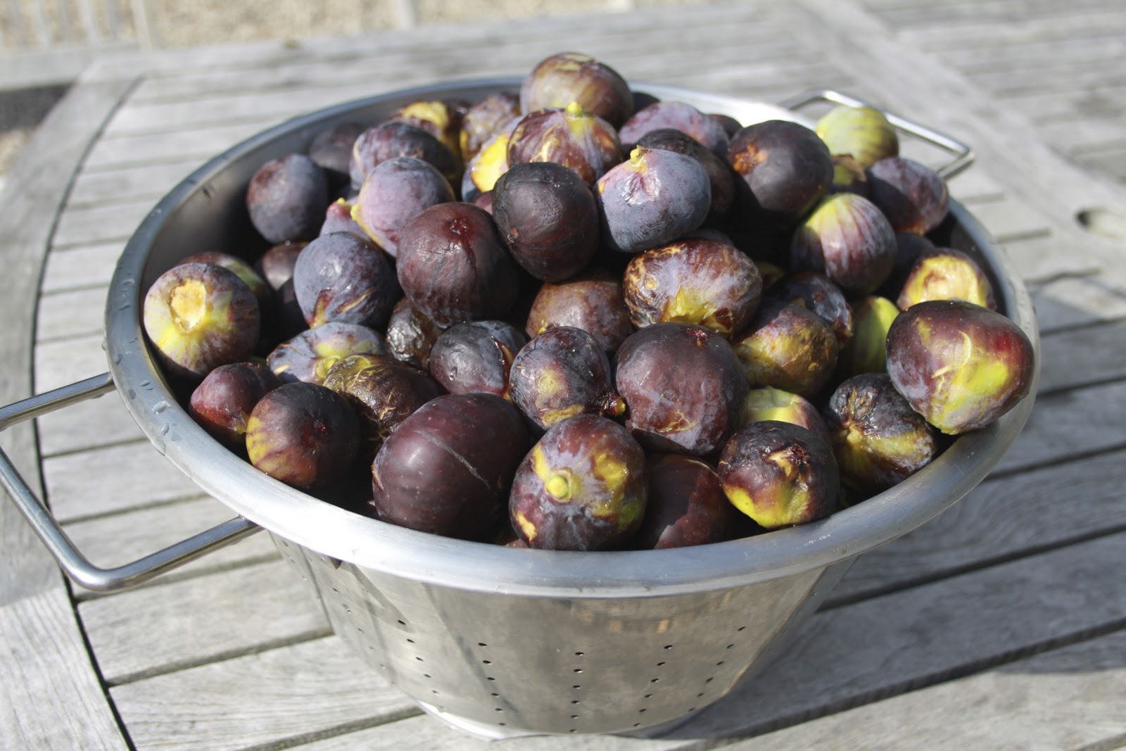 Tafel in Frankrijk Onze Vijgenboom is echt één van de beste bomen die