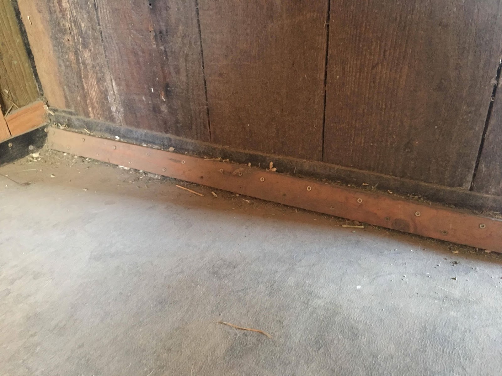 Trying To Ride One Year Review Stable Comfort Stall Matts