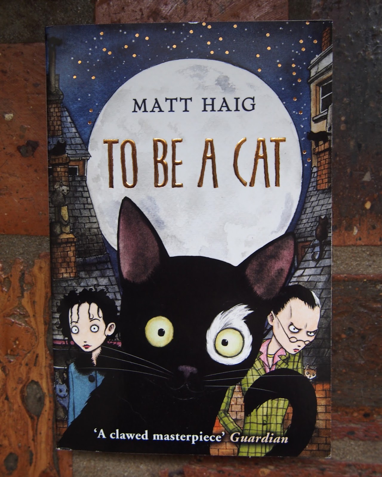 Bookfoolery To Be a Cat by Matt Haig