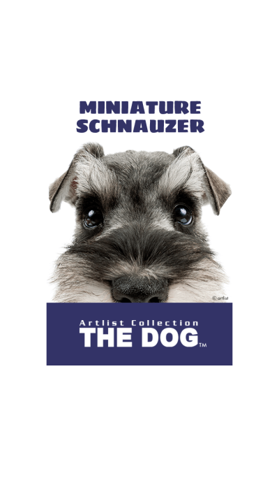 THE DOG Miniature Schnauzer 2